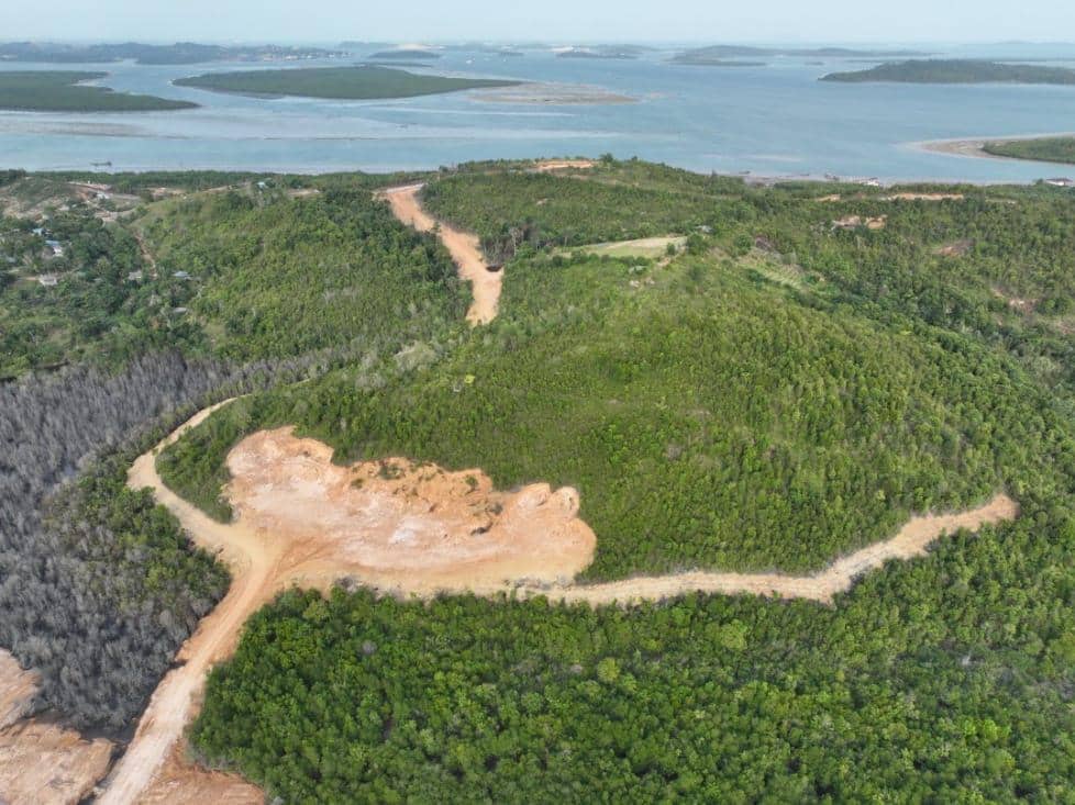 Kemenhut Tetapkan PT GTP Tersangka Perambahan Hutan Lindung Batam
