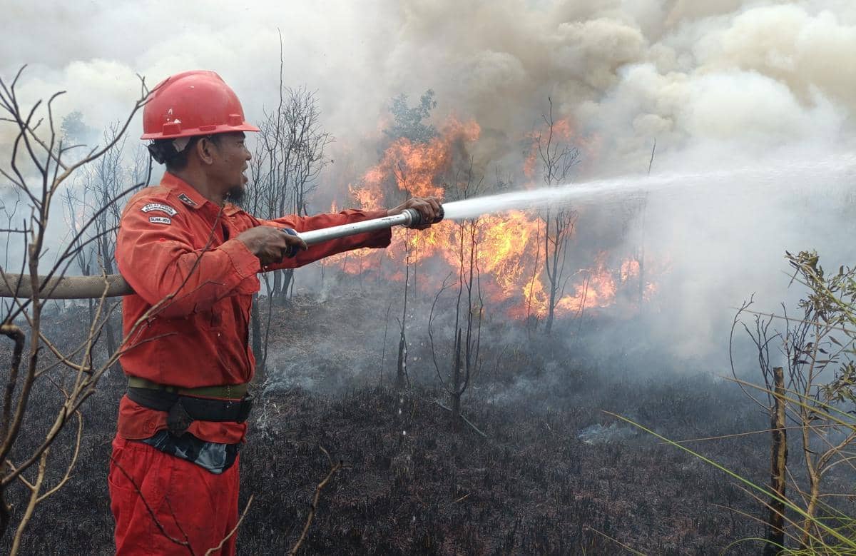 Mat Junani, Kepala Regu IV, Daops XIV Sumatra wilayah kerja Banyuasin saat berjibaku memadamkan api. (Dok. Manggala Agni)