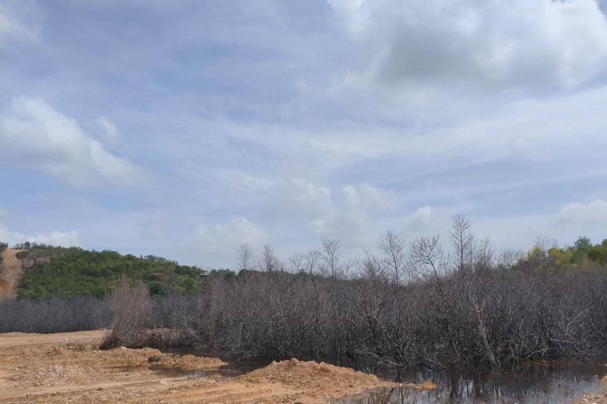 Kemenhut Tetapkan PT GTP Tersangka Perambahan Hutan Lindung Batam