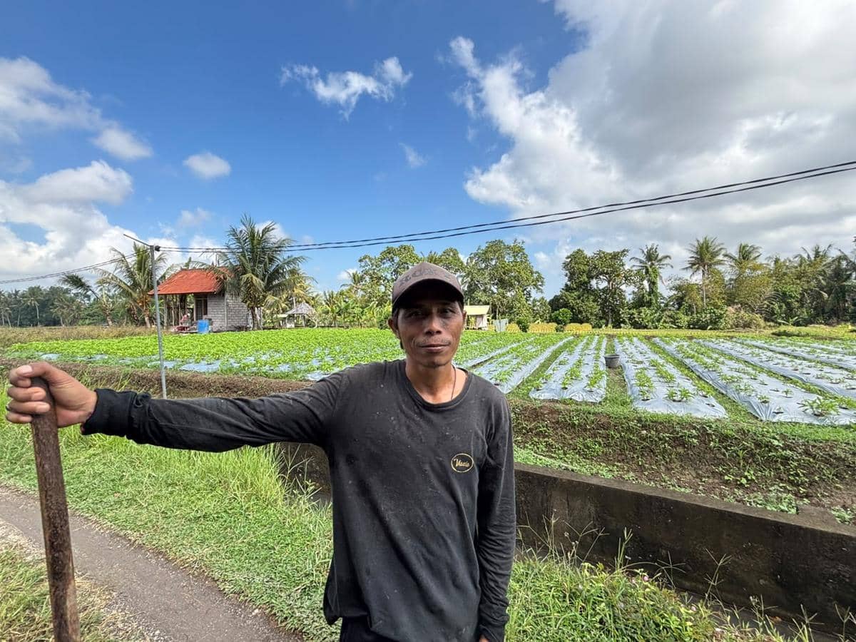 KUR BRI Bantu Petani Bunga Pacah Jaga Pasokan Sarana Upacara di Bali