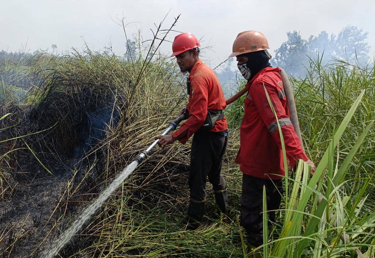 Mat Junani, Kepala Regu IV, Daops XIV Sumatra wilayah kerja Banyuasin dan tim saat berjibaku memadamkan api. 