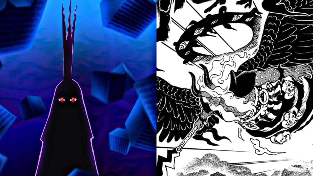 Kenapa Penggemar Teorikan Imu One Piece itu Burung Beo? Ini Situasinya