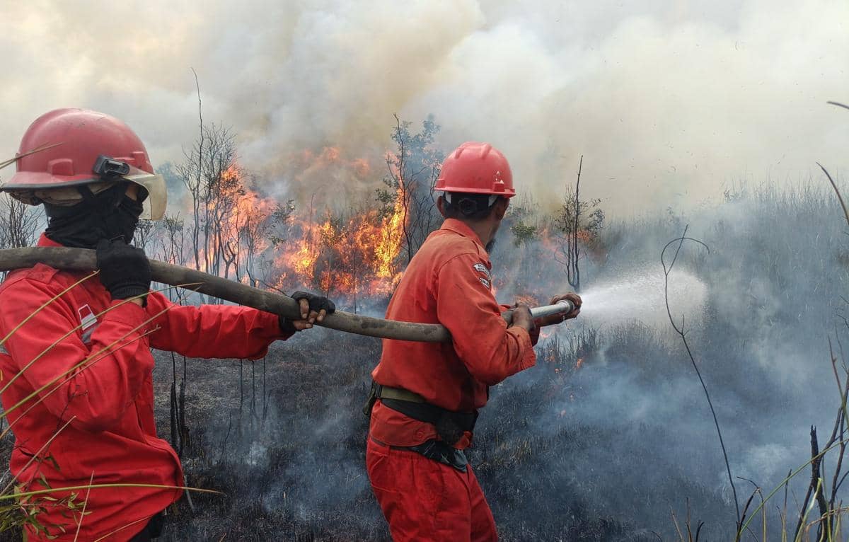 Mat Junani, Kepala Regu IV, Daops XIV Sumatra wilayah kerja Banyuasin dan tim saat berjibaku memadamkan api. (Dok. Manggala Agni)