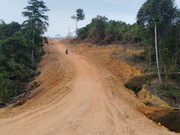 Kemenhut Tetapkan PT GTP Tersangka Perambahan Hutan Lindung Batam