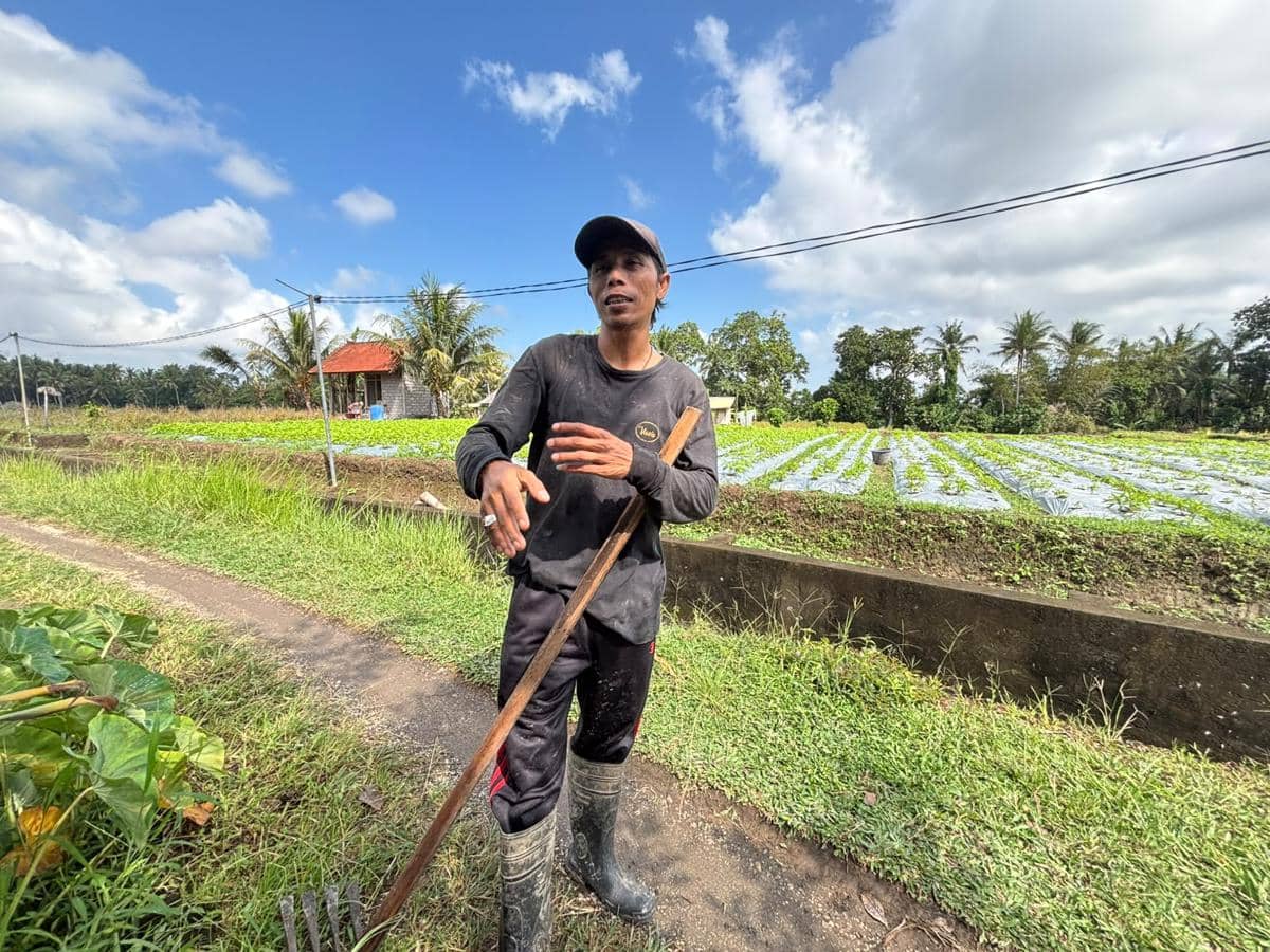 Petani bunga pacah di Banjar Panglan Kelod, Desa Kapal, Kabupaten Badung, Made Tarji. (Dok.BRI)