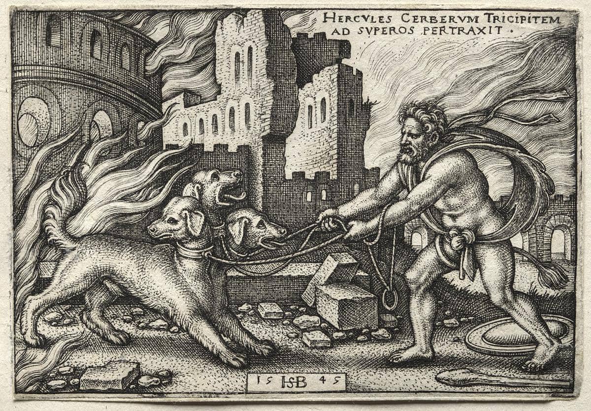 Cerberus