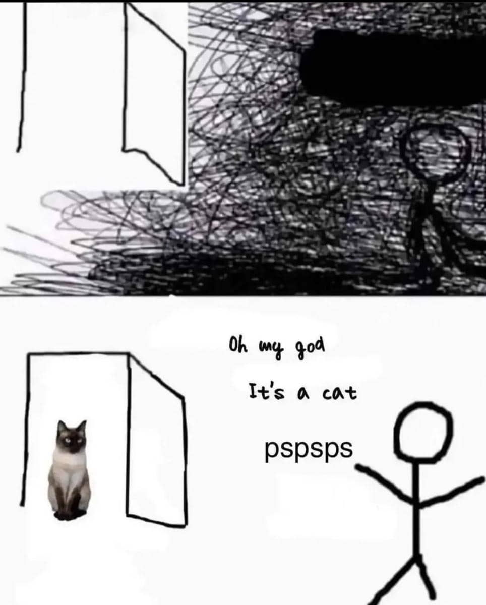 meme memanggil kucing