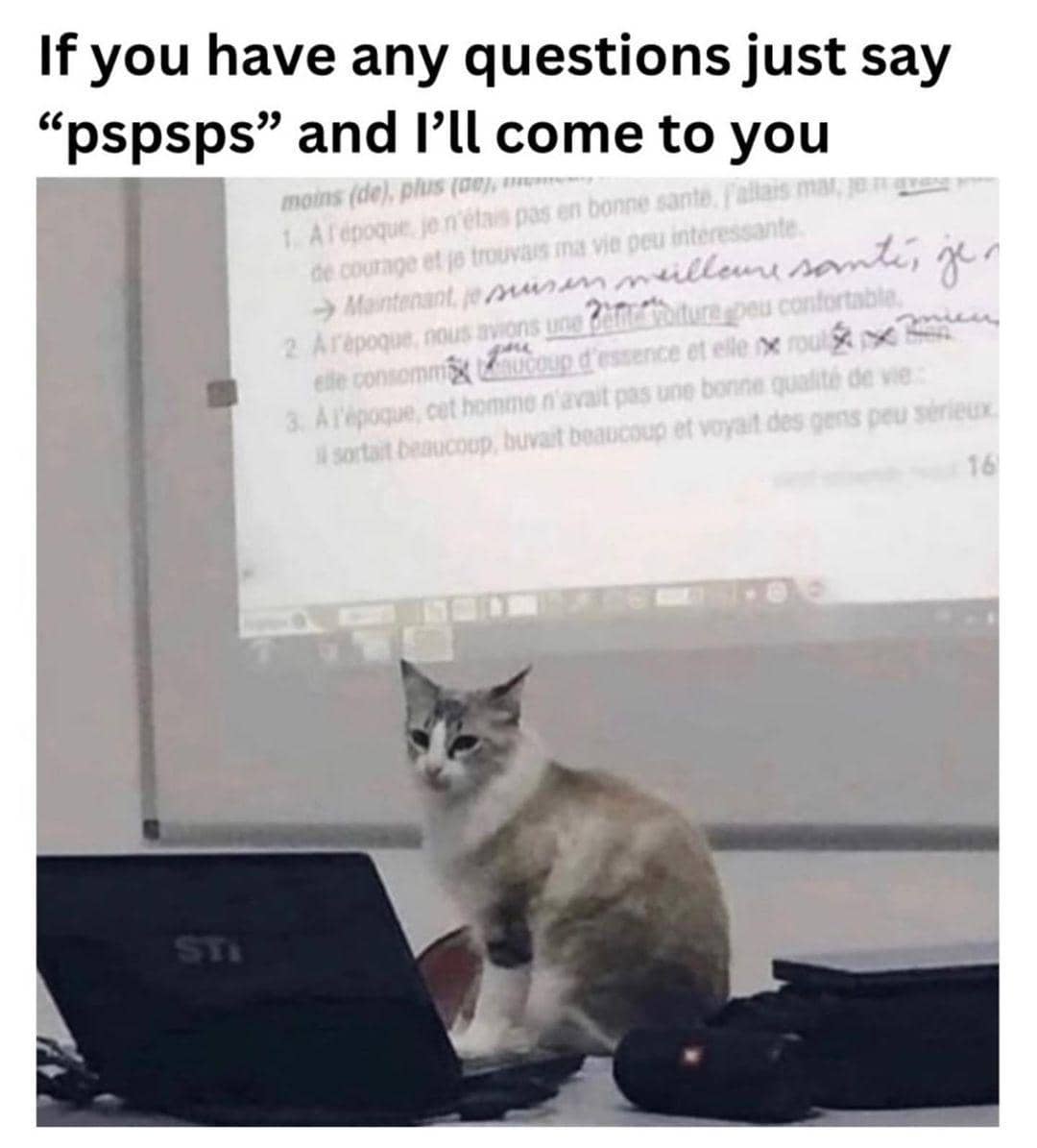 meme memanggil kucing