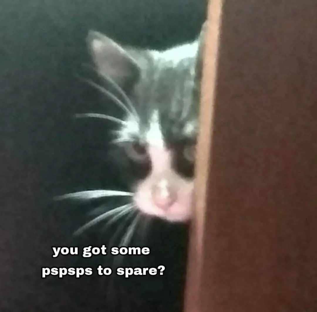 meme memanggil kucing