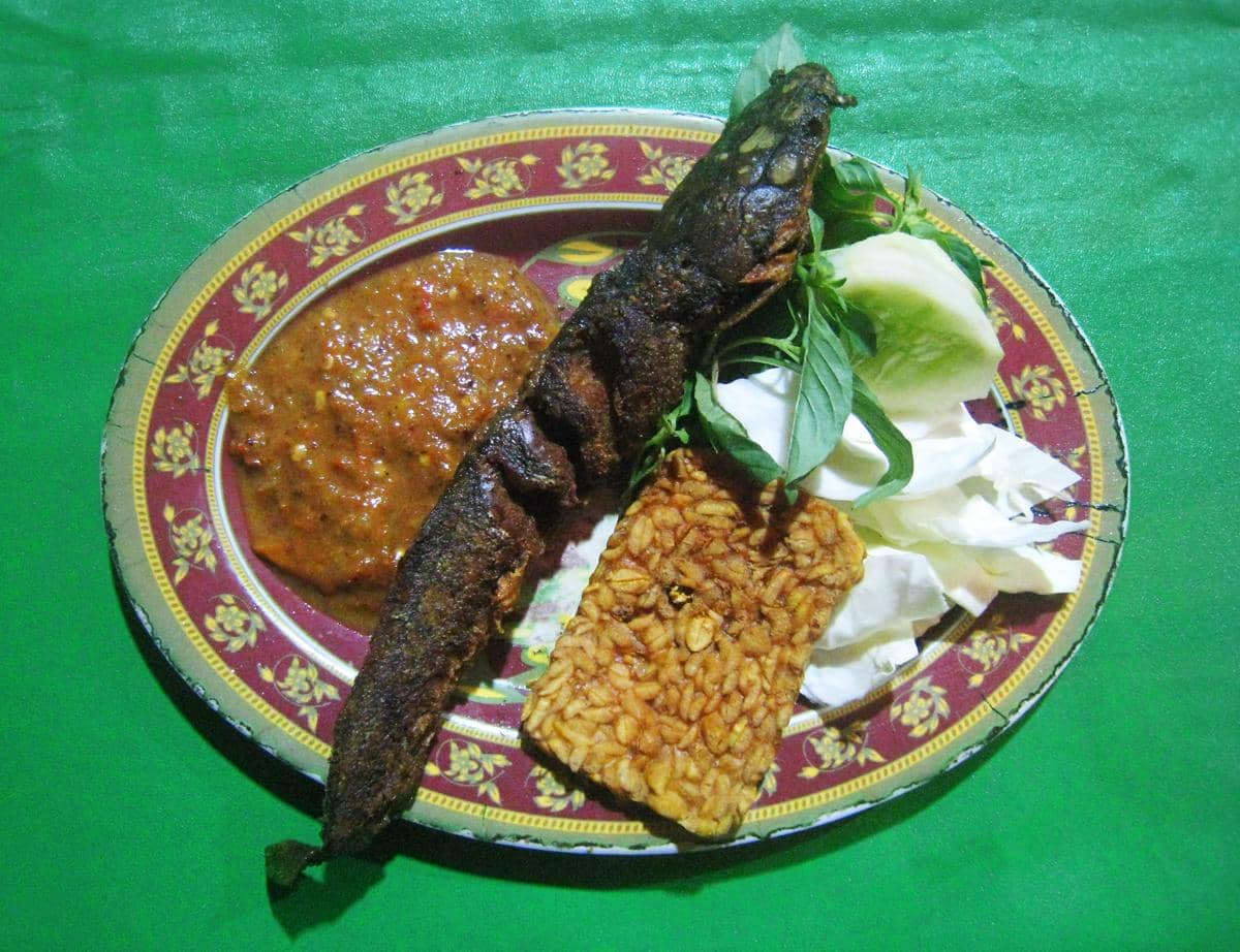 ilustrasi pecel lele sambal kemangi