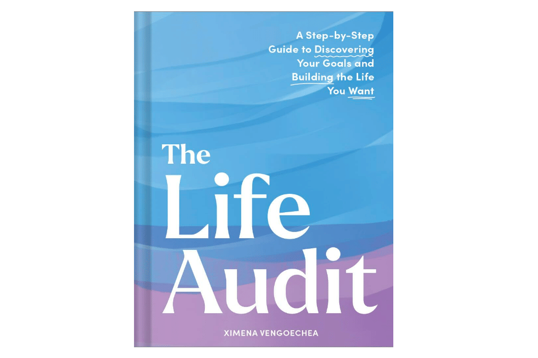 cover buku The Life Audit