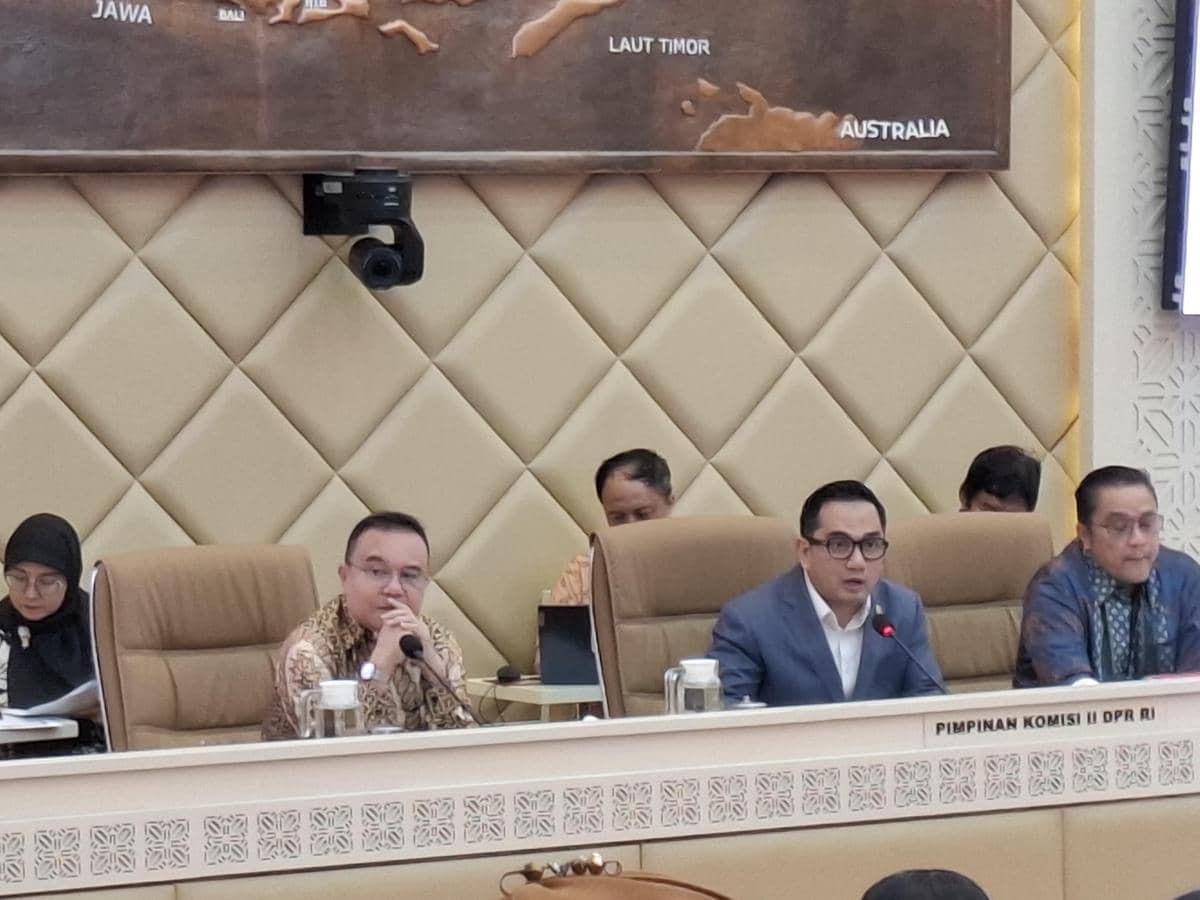 DPR dan Pemerintah Bahas Keuangan Daerah, Bagaimana Nasib ASN? 