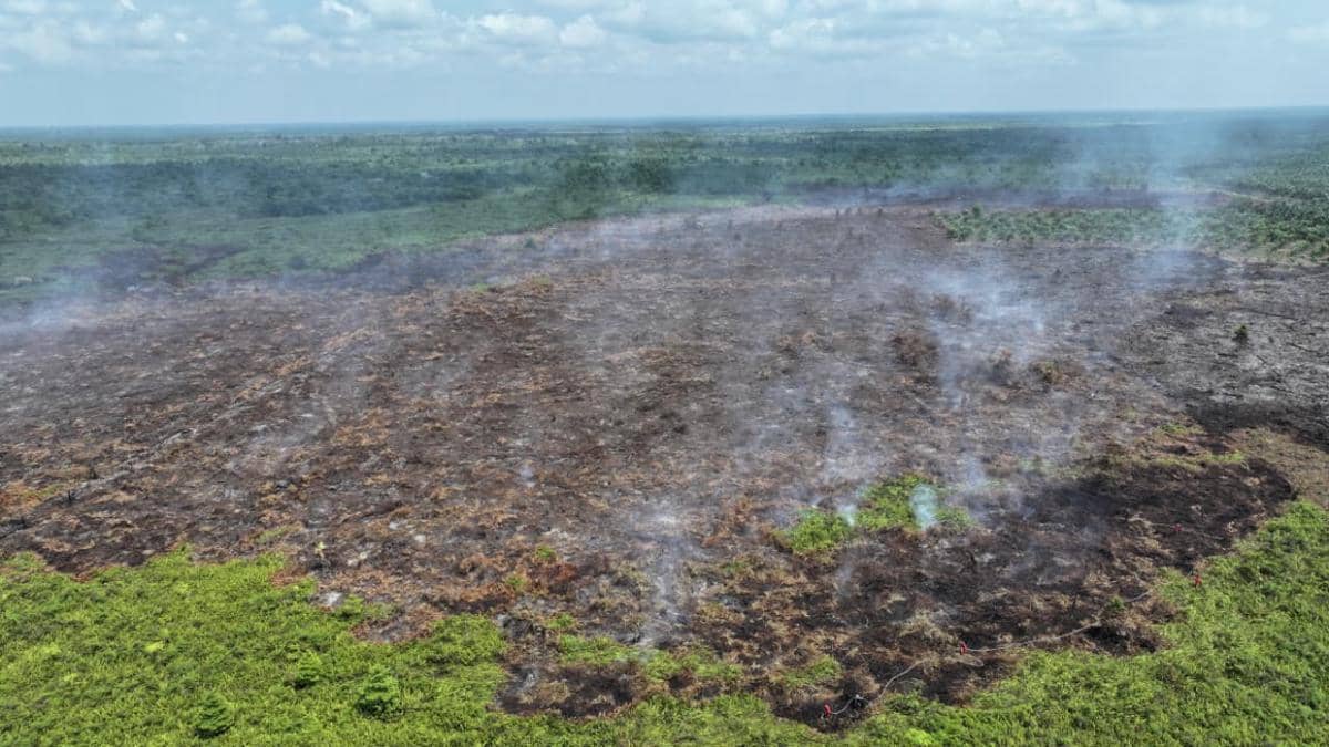 Asap tebal membubung dari kebakaran lahan di Muara Medak, Kecamatan Bayung Lencir, dalam dokumentasi BPBD Muba.