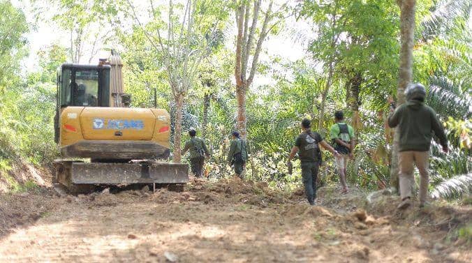 Kemenhut Tetapkan 2 Tersangka Perambahan Taman Nasional Bukit Barisan