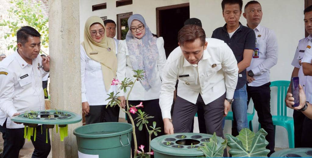 Warga Lampung Selatan memanfaatkan pekarangan untuk menanam tanaman dalam kegiatan Program HELAU pemerintah daerah.