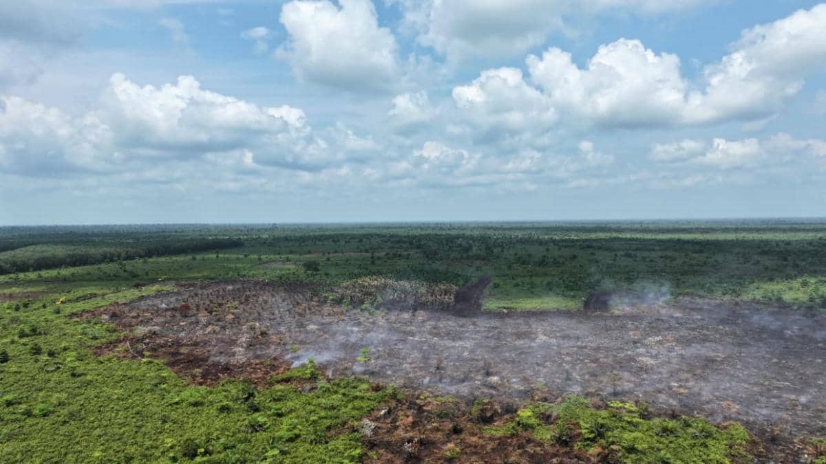 Sepekan Karhutla Muara Medak Belum Padam, Lais Catat Hotspot Terbanyak