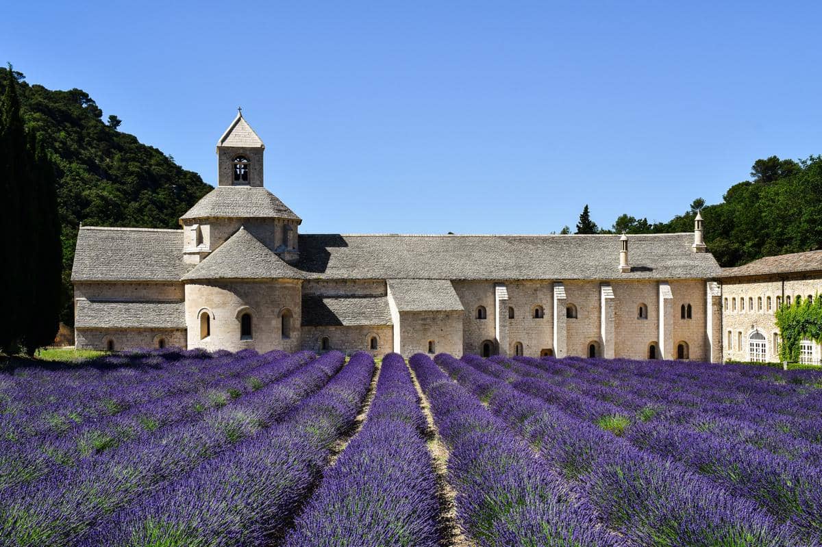 Ladang lavender yang ada di Desa Gordes, Prancis