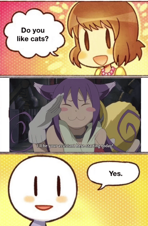 meme anime tentang pencinta kucing