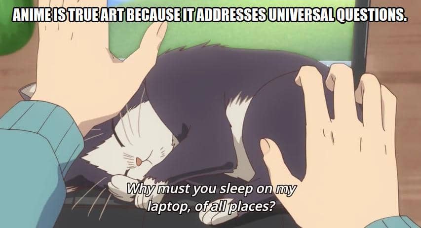 meme anime tentang pencinta kucing