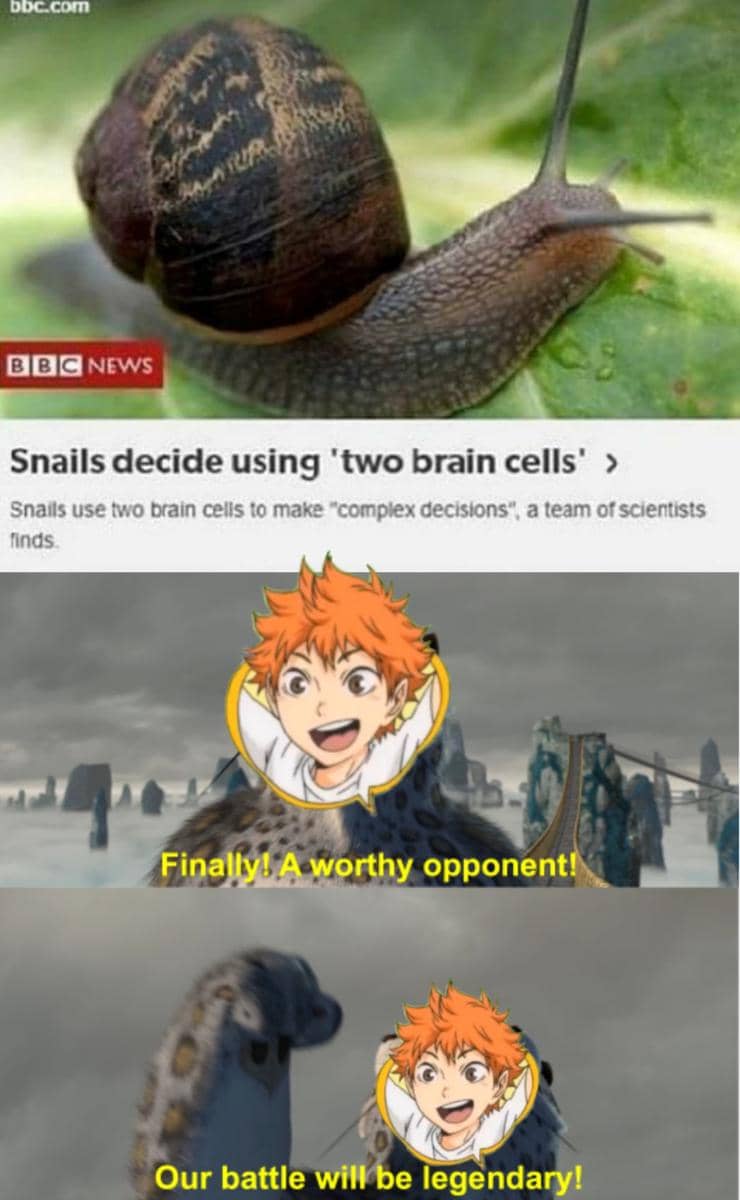 meme anime tentang otak buntu
