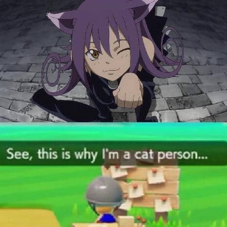 meme anime tentang pencinta kucing