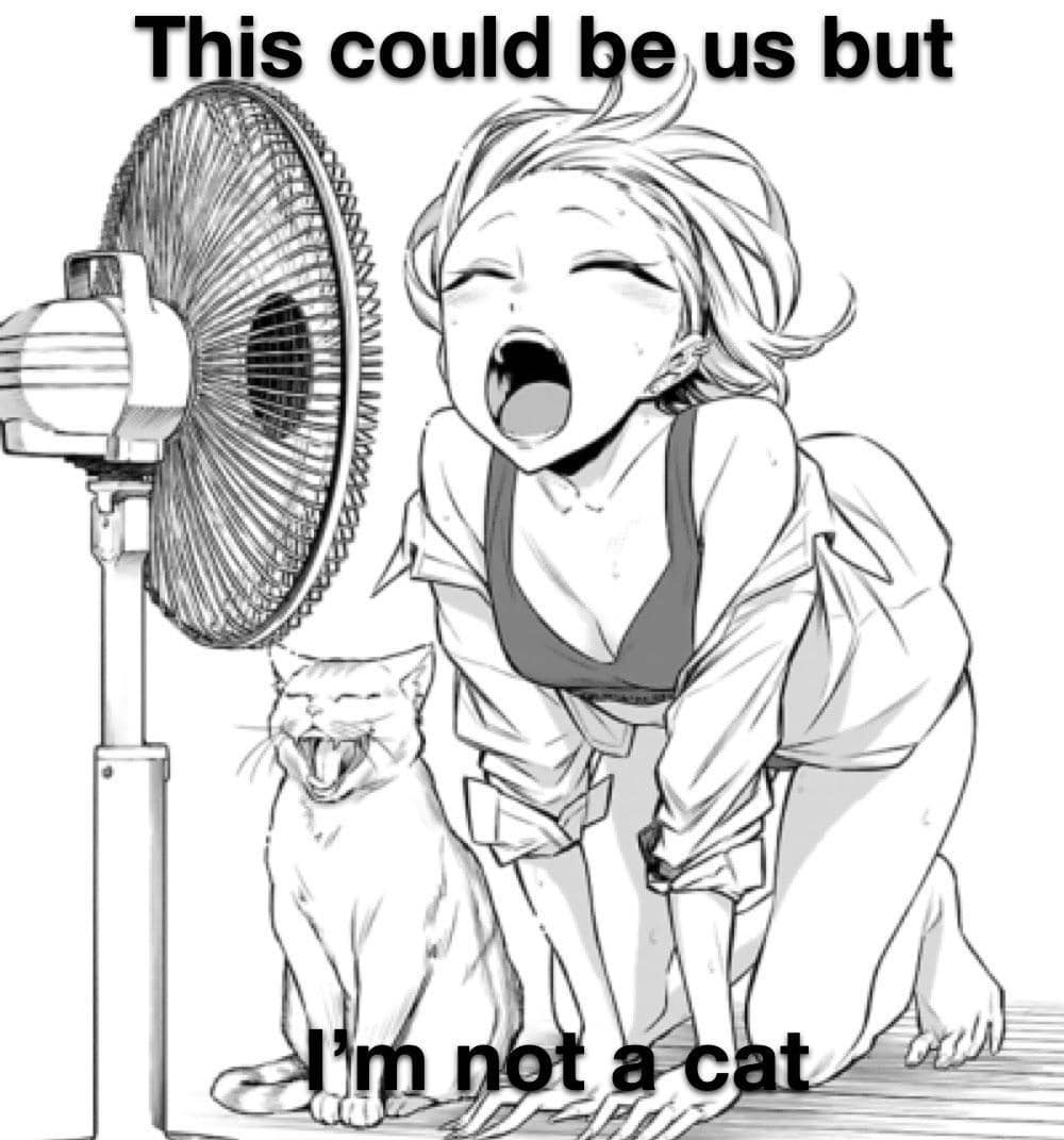 meme anime tentang pencinta kucing