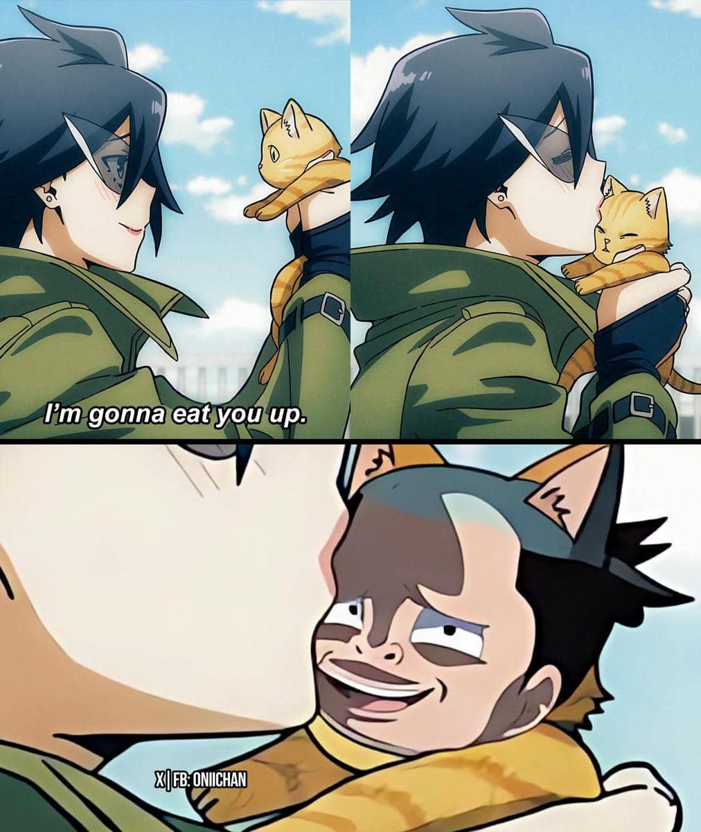 meme anime tentang pencinta kucing