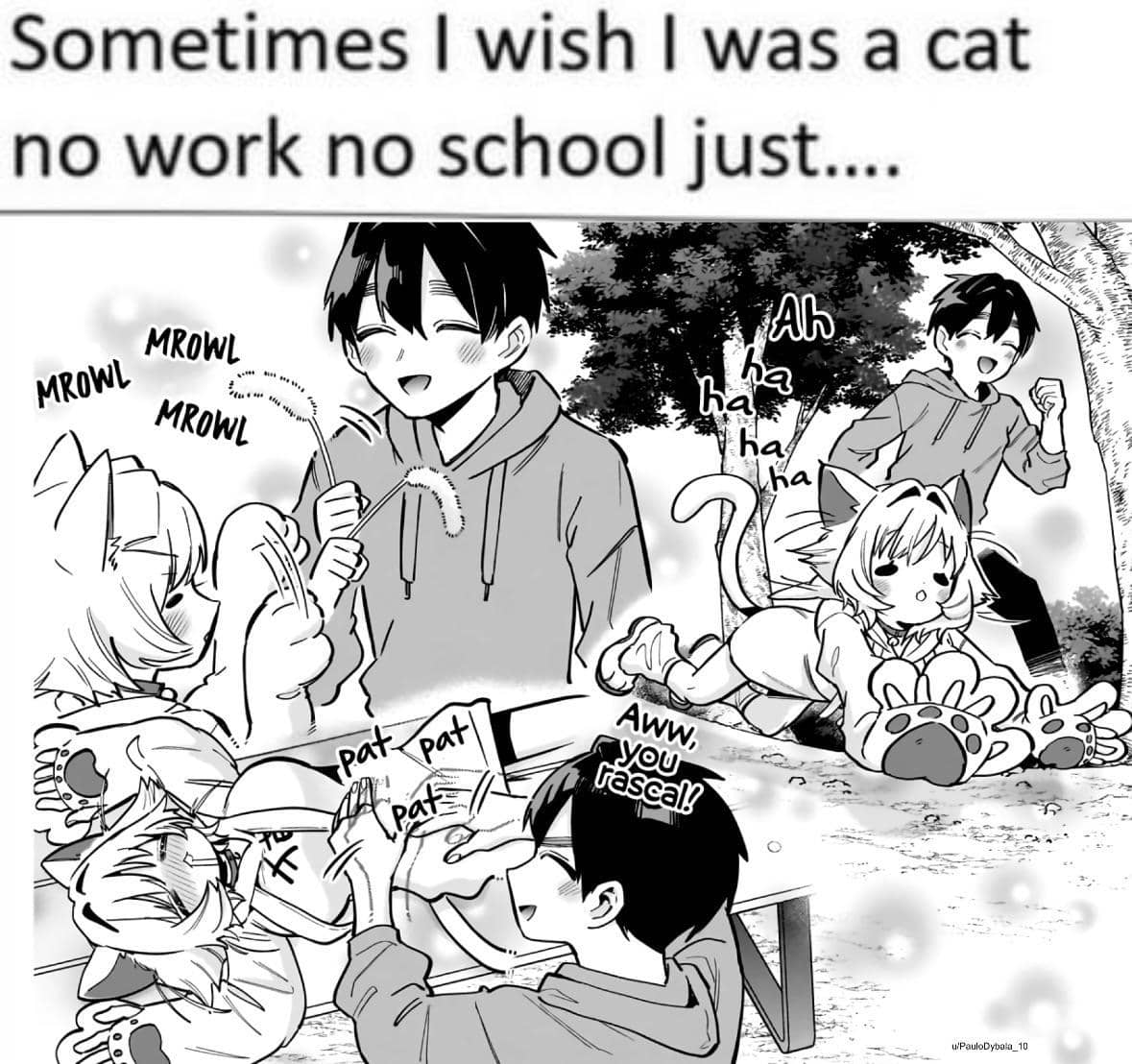 meme anime tentang pencinta kucing