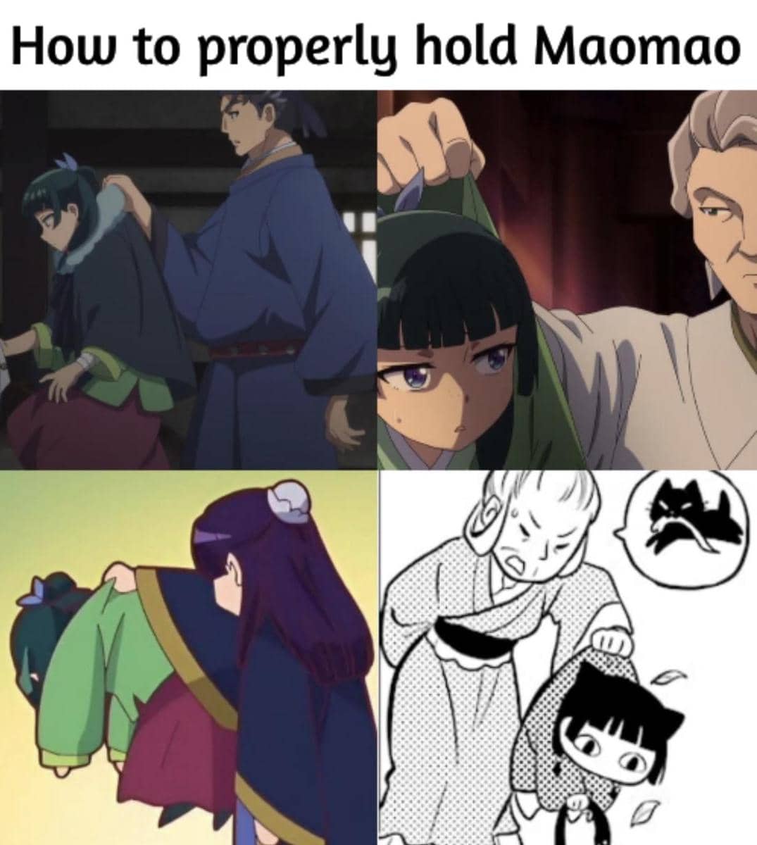 meme anime tentang pencinta kucing