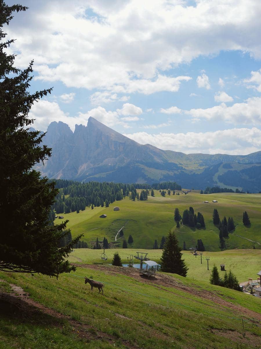 Regina Phoenix menikmati keindahan alam Pegunungan Dolomites