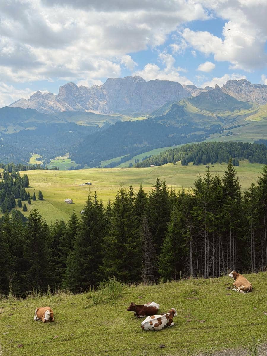 Regina Phoenix menikmati keindahan alam Pegunungan Dolomites