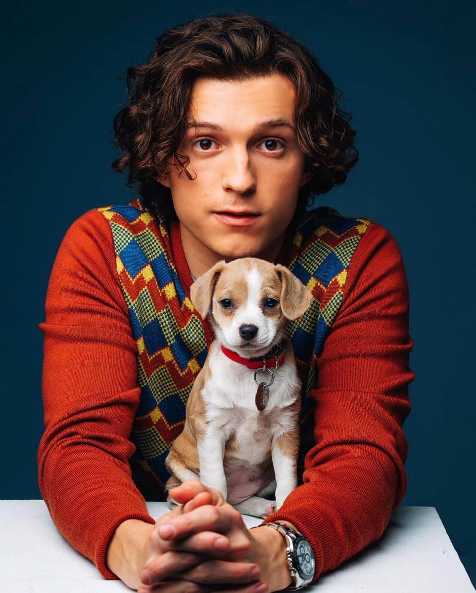 foto gaya rambut Tom Holland