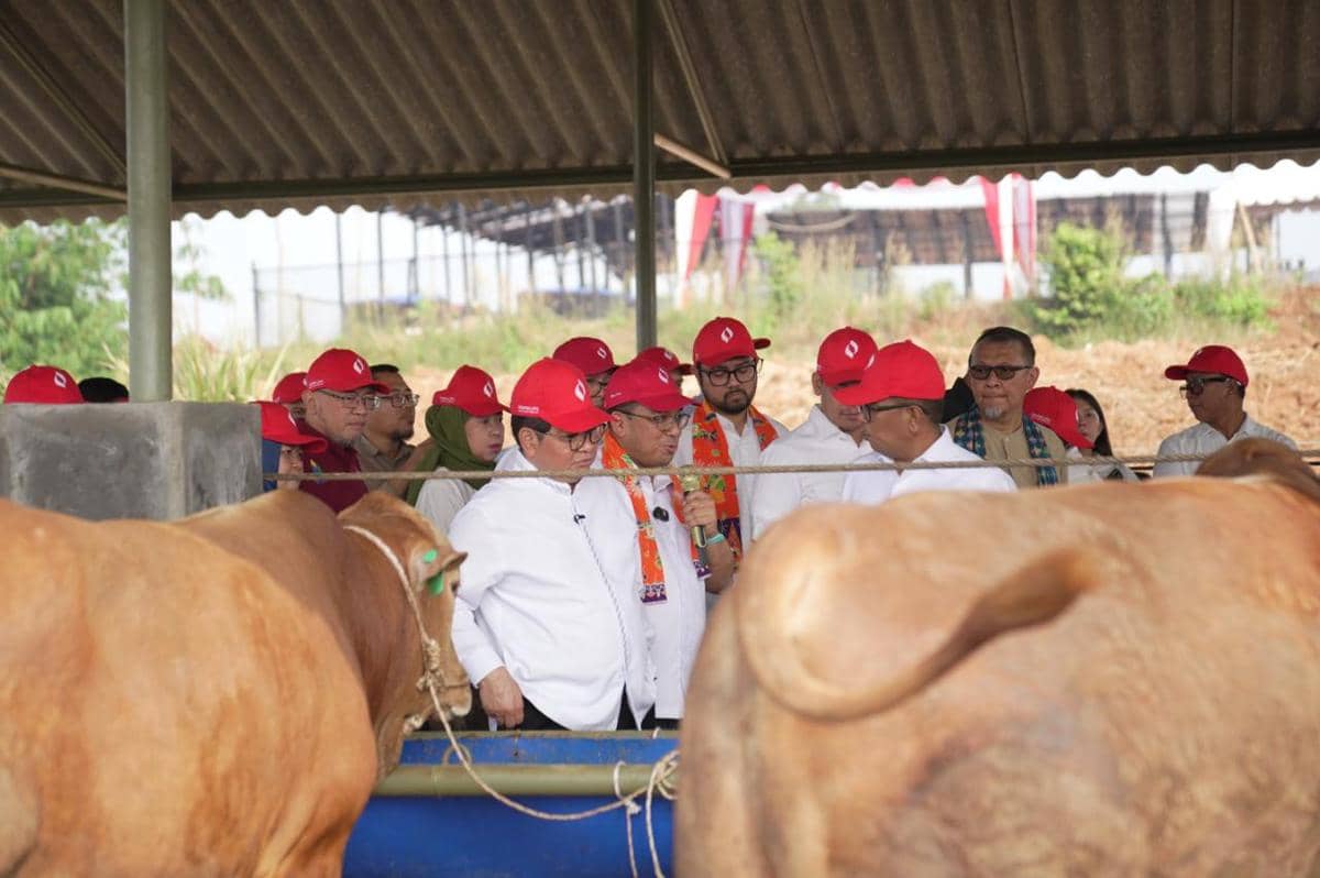 Gubernur Pramono Anung cek Kawasan Peternakan di Ciangir Banten, Jumat (31/7/2026).