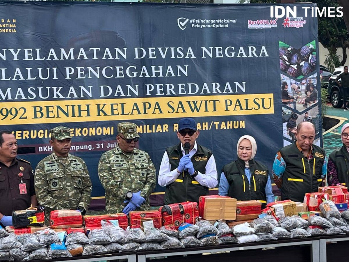 Kegiatan pemusnahan bibit sawit ilegal dilakukan Karantina Lampung dan dihadiri oleh Kepala Badan Karantina Indonesia, Abdul Kadir Karding. (IDN Times/Tama Yudha Wiguna). 