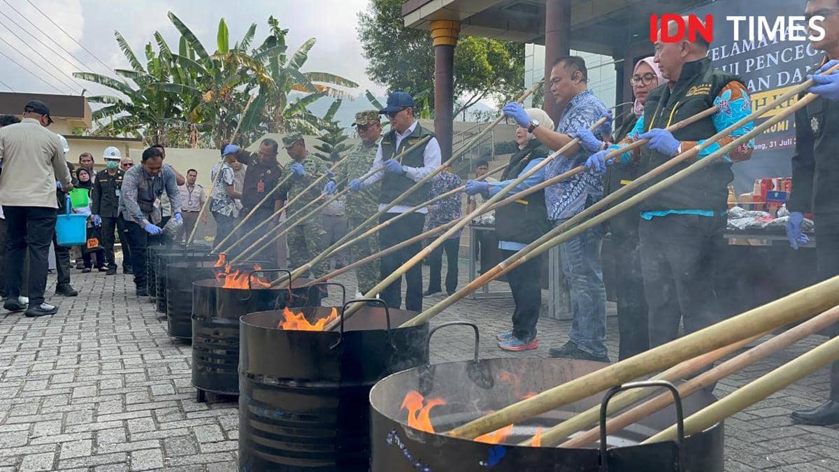 75.992 Bibit Sawit Ilegal Dimusnahkan di Lampung, Kerugian Rp42 Miliar