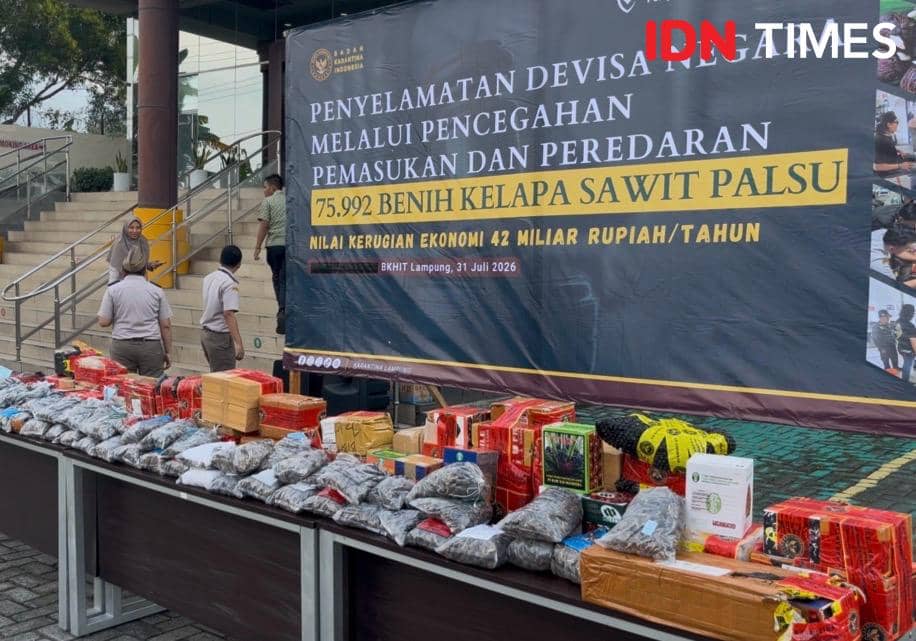 Kegiatan pemusnahan bibit sawit ilegal dilakukan Karantina Lampung dan dihadiri oleh Kepala Badan Karantina Indonesia, Abdul Kadir Karding.