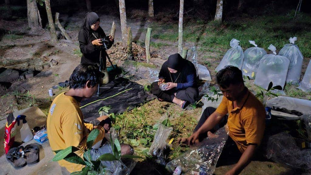 Ratusan koleksi tumbuhan dataran rendah Sumatera di Kebun Raya Institut Teknologi Sumatera, Itera.