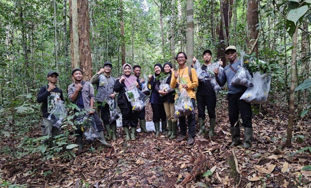 Koleksi tumbuhan dataran rendah Sumatera dalam pot dan bedeng di area Kebun Raya Institut Teknologi Sumatera.
