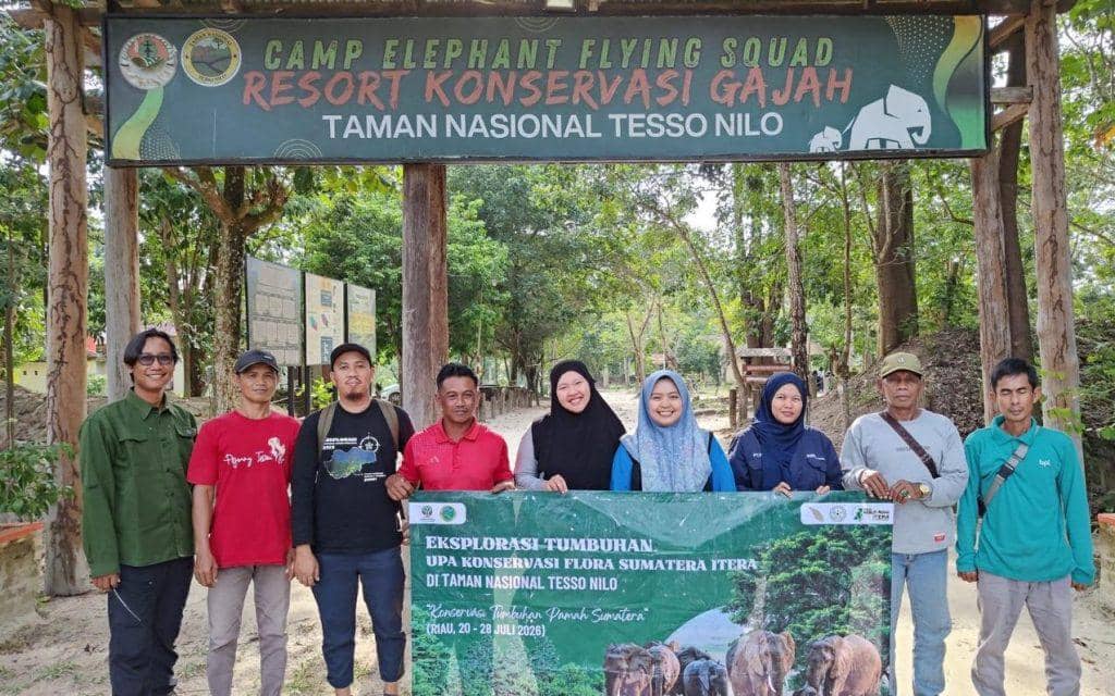 Koleksi tumbuhan dataran rendah Sumatera yang ditanam di Kebun Raya Institut Teknologi Sumatera sebagai koleksi baru.