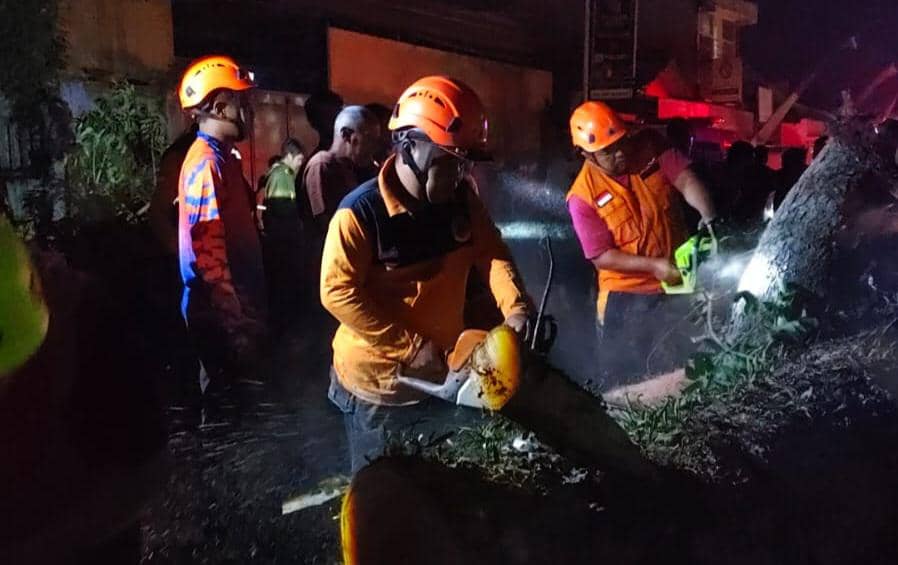 Petugas mengevakuasi pohon tumbang yang dibakar di Kabupaten Malang dalam penanganan oleh BPBD setempat.