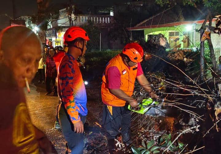 Petugas BPBD Kabupaten Malang melakukan evakuasi pohon tumbang akibat dibakar di wilayah Kabupaten Malang.