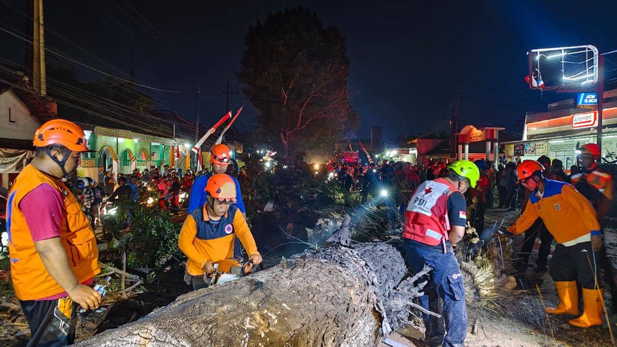 Pohon Mahoni Dibakar Tumbang Menimpa 9 Orang di Malang