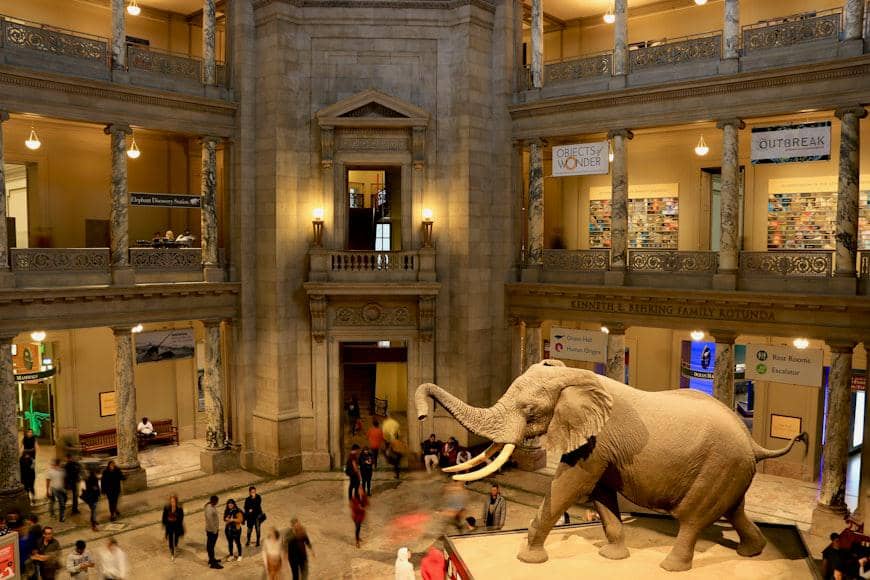 potret Smithsonian National Museum of Natural History