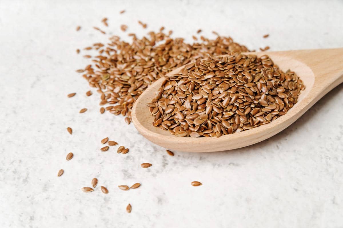 ilustrasi flaxseed