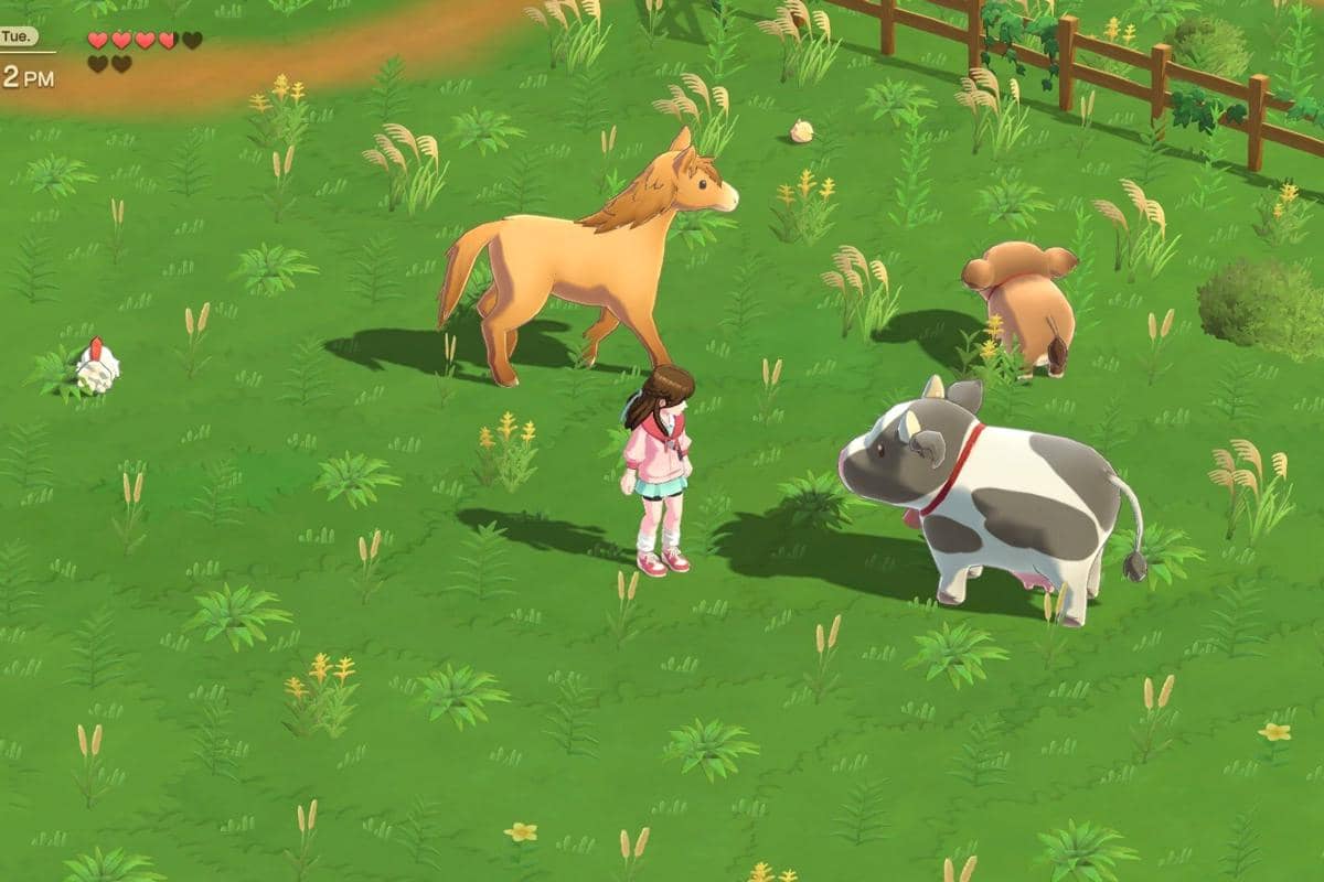 cuplikan Harvest Moon: Home Sweet Home
