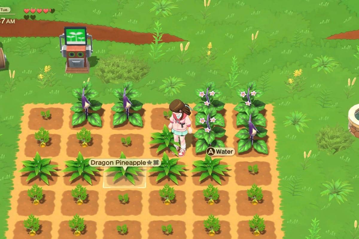 3 Game Harvest Moon yang Bisa Dimainkan di HP per 2 Agustus 2026