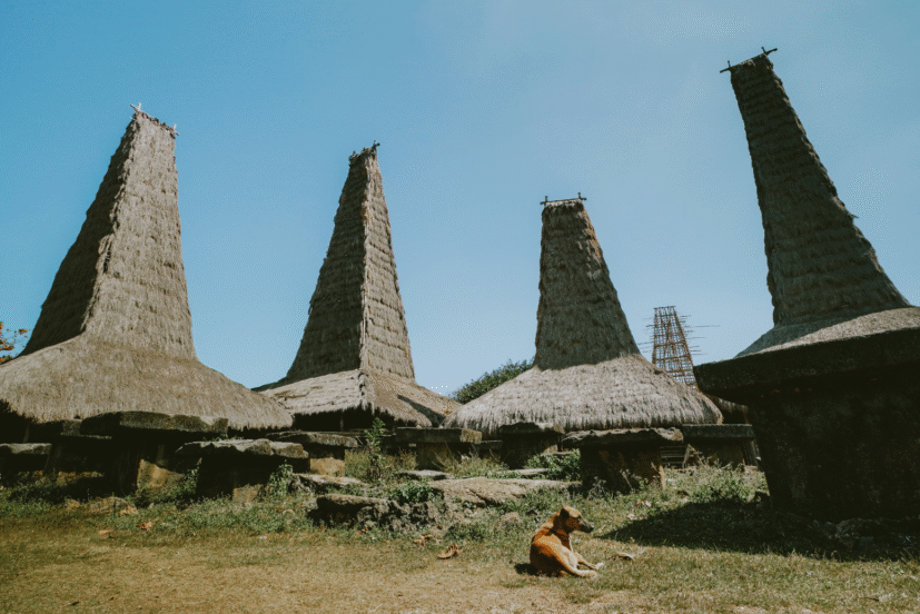 Desa Adat Megalitik di Sumba Barat Daya
