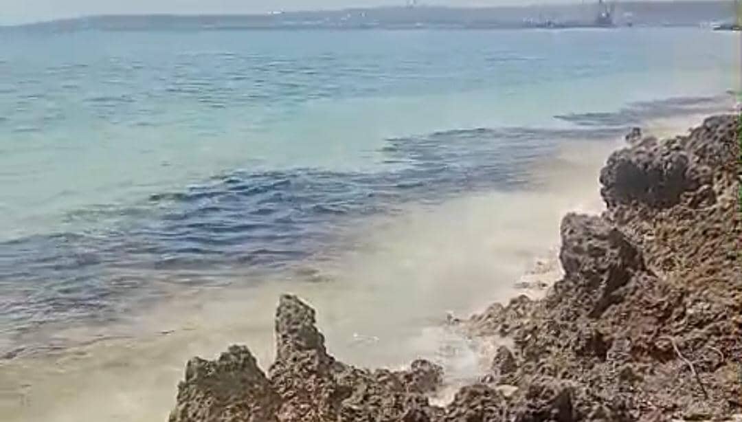 Cairan hitam mencemari perairan Pulau Semau, mengganggu area budidaya rumput laut dan menyebabkan kerugian petani.