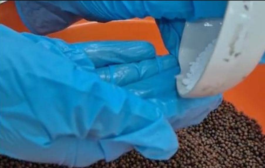 Serbuk nanopartikel ZnO dicampurkan ke dalam pakan dasar dalam wadah sebagai bagian dari proses produksi pakan.