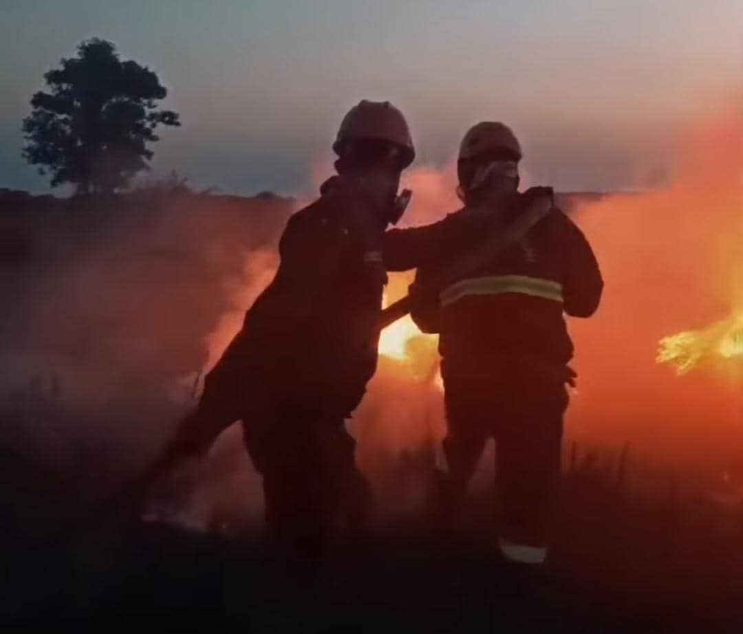 Petugas Manggal Agni saat memadamkan api di Desa Palem Raya, Ogan Ilir.